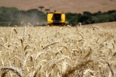 Imagem referente a Adesão obrigatória da nota fiscal eletrônica do produtor rural é adiada para fevereiro 