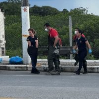 Imagem referente a Corpo de homem é resgatado sob ponte de Piçarras