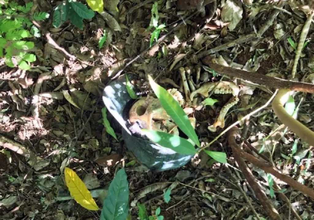 Ossada humana é encontrada em área de mata em Marechal Rondon