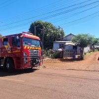 Imagem referente a Gato cai em poço e morre afogado no Cascavel Velho