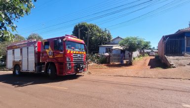 Imagem referente a Gato cai em poço e morre afogado no Cascavel Velho