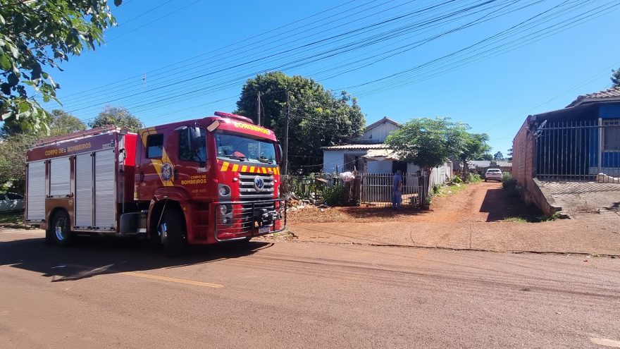 Gato cai em poço e morre afogado no Cascavel Velho
