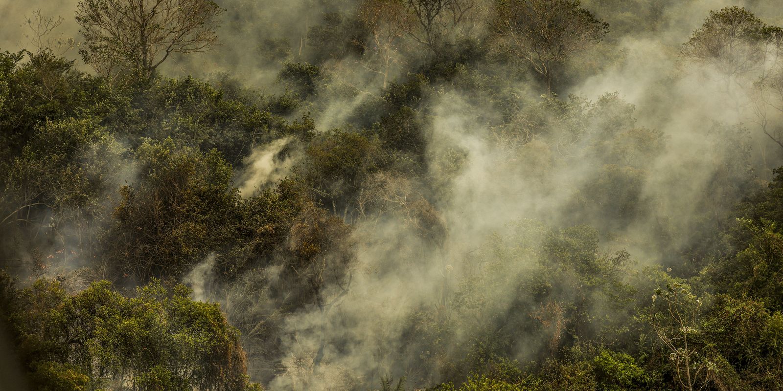 Governo aprova planos contra desmatamento no Pantanal e na Caatinga Governo aprova planos contra desmatamento no Pantanal e na Caatinga