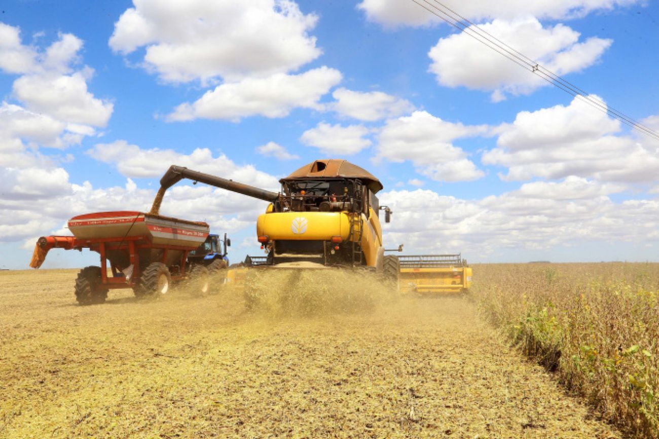 Programa de Subvenção ao Seguro Rural do Paraná terá R$ 10 milhões para a safra 2025 Programa de Subvenção ao Seguro Rural do Paraná terá R$ 10 milhões para a safra 2025