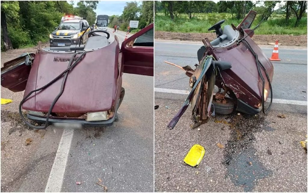 Duas crianças morrem e carro se parte no meio após motorista desviar de tamanduá em rodovia