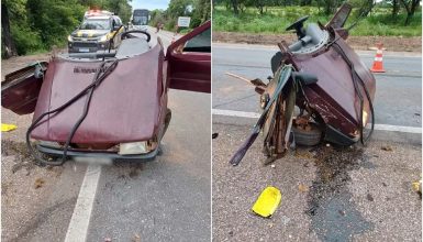 Imagem referente a Duas crianças morrem e carro se parte no meio após motorista desviar de tamanduá em rodovia