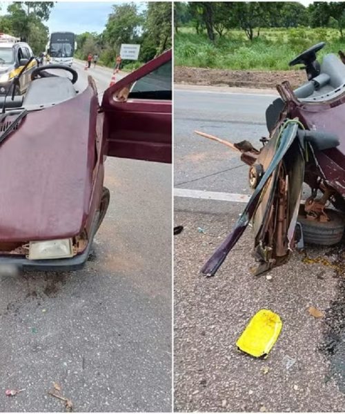 Imagem referente a Duas crianças morrem e carro se parte no meio após motorista desviar de tamanduá em rodovia