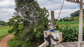 No Paraná, população que vive no campo conta com 20 mil km de novas redes elétricas