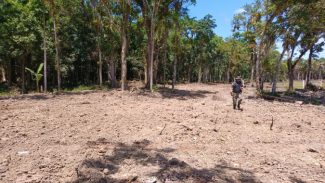 Instituto Água e Terra alerta para golpe do licenciamento ambiental no Litoral do Paraná