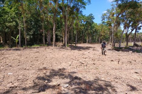 Imagem referente a Instituto Água e Terra alerta para golpe do licenciamento ambiental no Litoral do Paraná