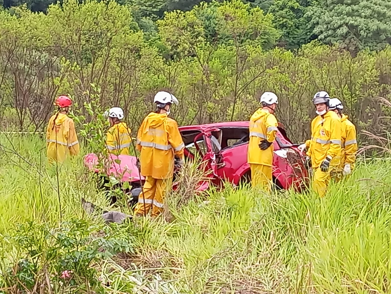 Motorista de Ford Ka que morreu em acidente na PRc-158 é identificado