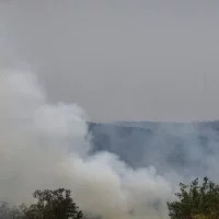 Imagem referente a Dino cobra informações do governo de SP sobre combate às queimadas