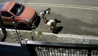 Imagem referente a Mulher rebola enquanto amiga faz xixi no meio da Rua Expresso Norte