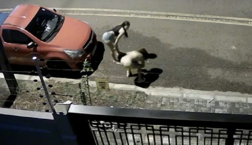 Imagem referente a Mulher rebola enquanto amiga faz xixi no meio da Rua Expresso Norte