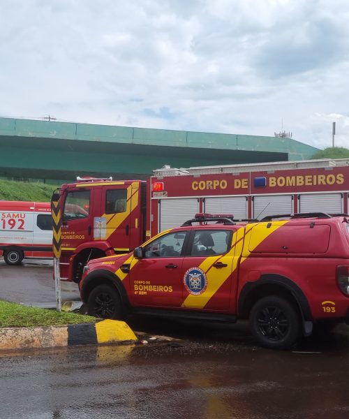 Imagem referente a Mulher sofre politraumatismo após cair do viaduto no Bairro Guarujá