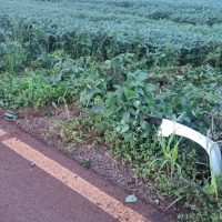 Imagem referente a Homem de 34 anos fica ferido em acidente na Estrada Rio da Paz