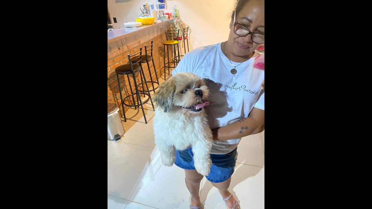 Cachorro é encontrado no bairro Neva