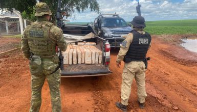 Imagem referente a Com apoio de policiais de Cascavel, mais de 400 quilos de maconha são apreendidos em Mamborê