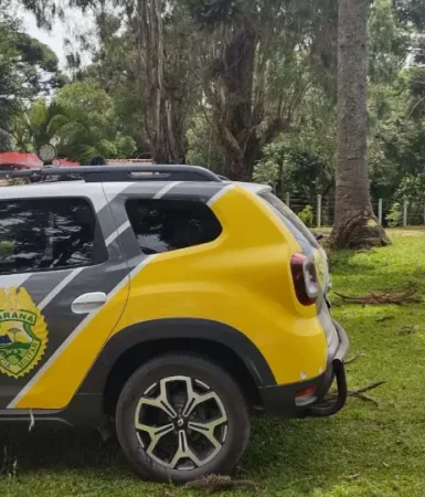 Imagem referente a Homem percebe invasão em chácara e encontra homem morto em tanque