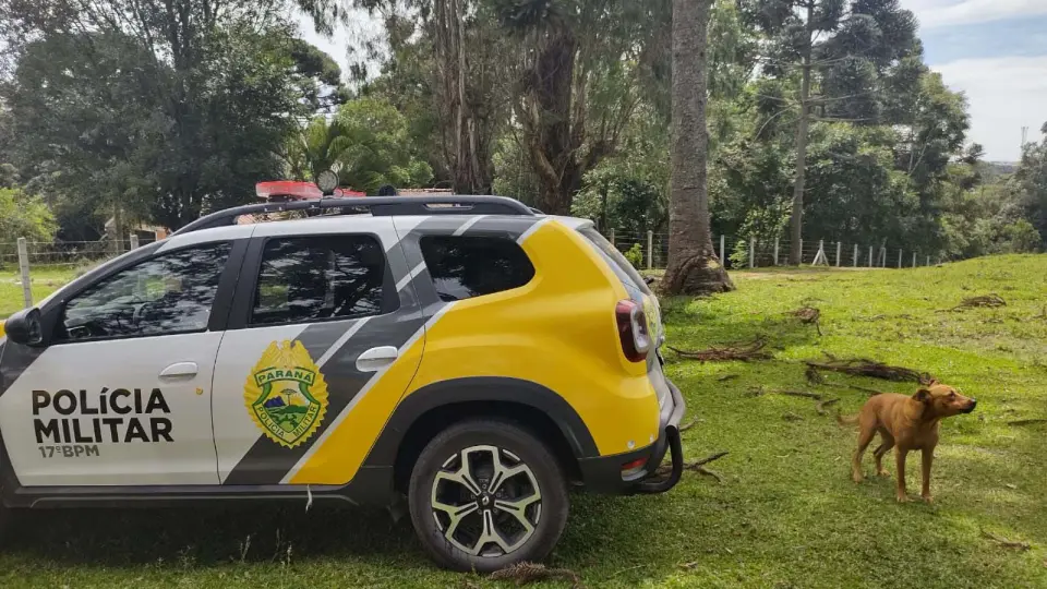 Homem percebe invasão em chácara e encontra homem morto em tanque