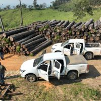 Imagem referente a Multa por crimes ambientais cresce 24% no Paraná entre janeiro e novembro de 2024