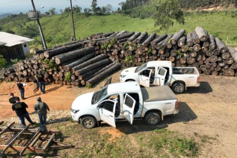 Imagem referente a Multa por crimes ambientais cresce 24% no Paraná entre janeiro e novembro de 2024