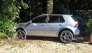 Imagem referente a Carro passa reto e adentra em área do Zoológico de Cascavel