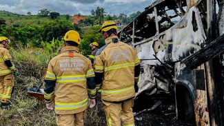 Polícia Civil de MG já identificou 16 vítimas de acidente na BR-116