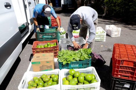 Estado adquire R$ 2 bilhões em produtos e serviços de micro e pequenas empresas em 2024