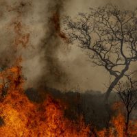 Imagem referente a Desastres climáticos aumentaram 250% nos últimos quatro anos no país