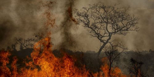 Imagem referente a Desastres climáticos aumentaram 250% nos últimos quatro anos no país