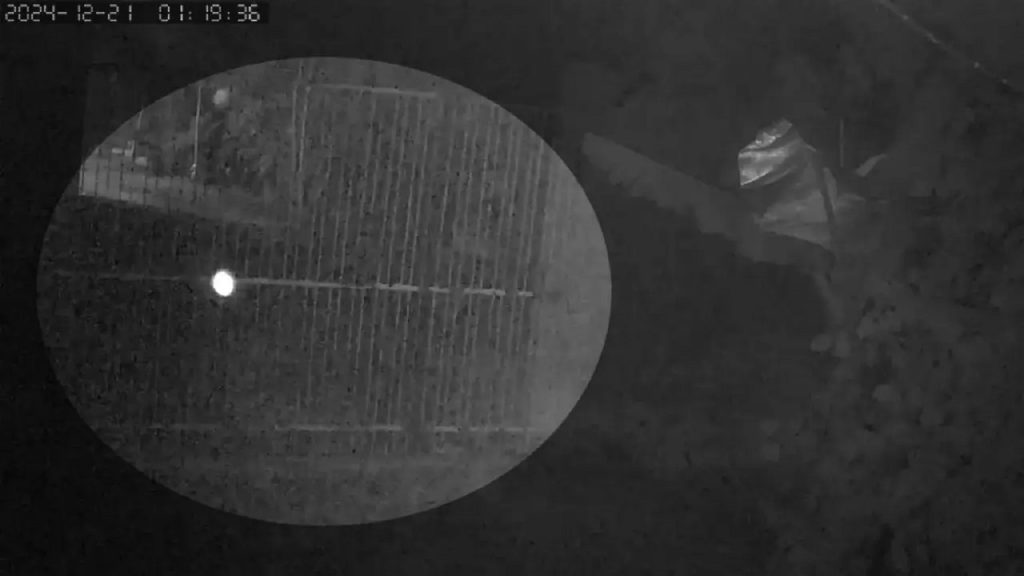 Vídeo: homem se assusta com ‘luz misteriosa’ em chácara no PR