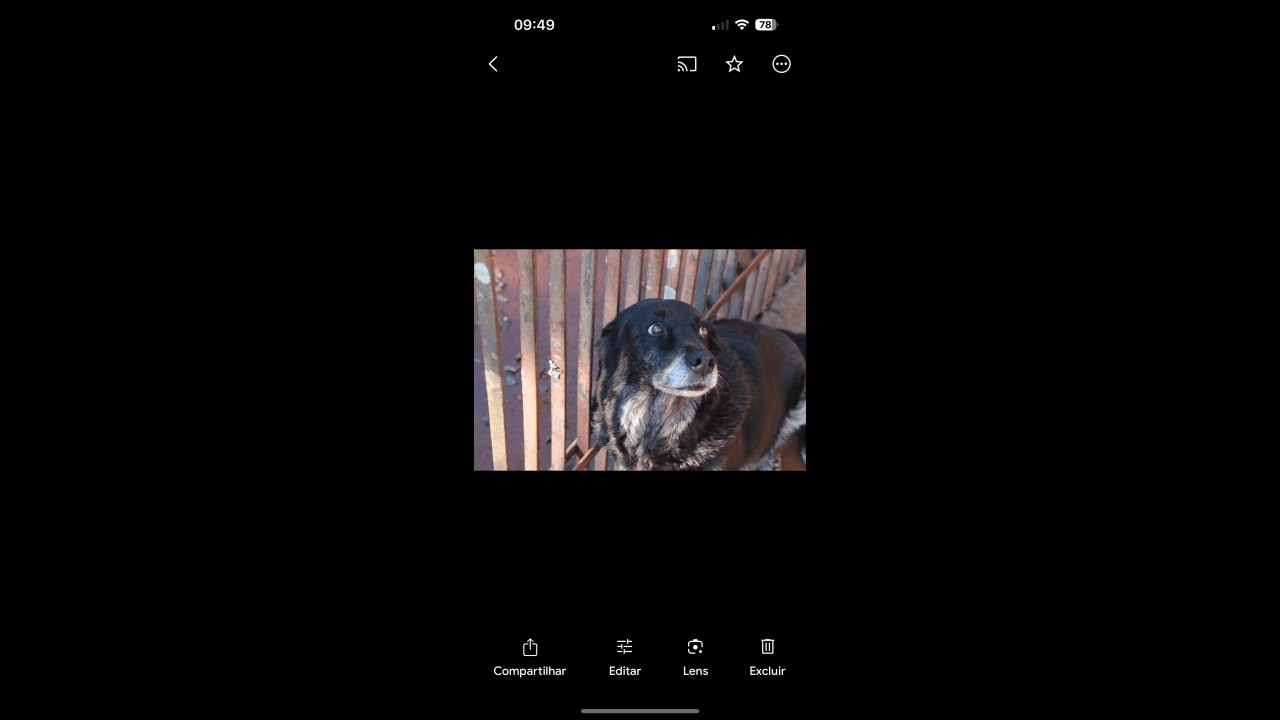 Cachorro Negão - fugiu nas imediações da policia civil e desapareceu no bairro Centro Cachorro Negão - fugiu nas imediações da policia civil e desapareceu no bairro Centro