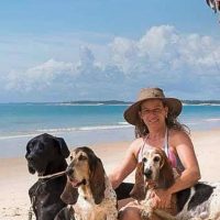 Imagem referente a Férias chegam e trazem um dilema: viajar ou não com os pets?