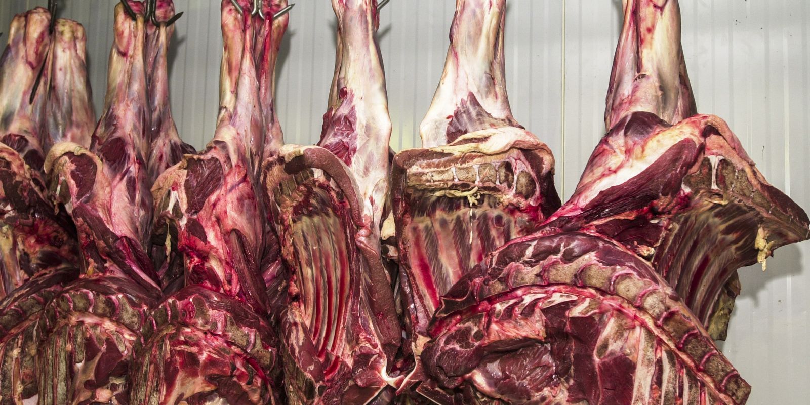 China abre investigação sobre importação de carne bovina China abre investigação sobre importação de carne bovina