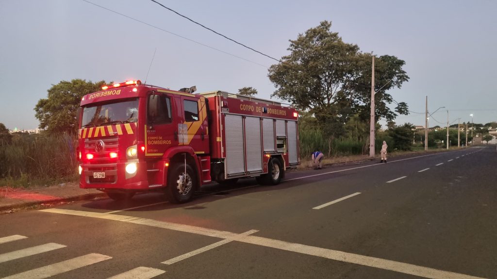 Incêndio ambiental é registrado no Bairro Santa Cruz