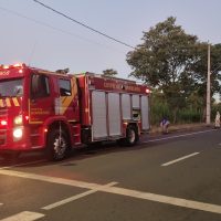 Imagem referente a Incêndio ambiental é registrado no Bairro Santa Cruz