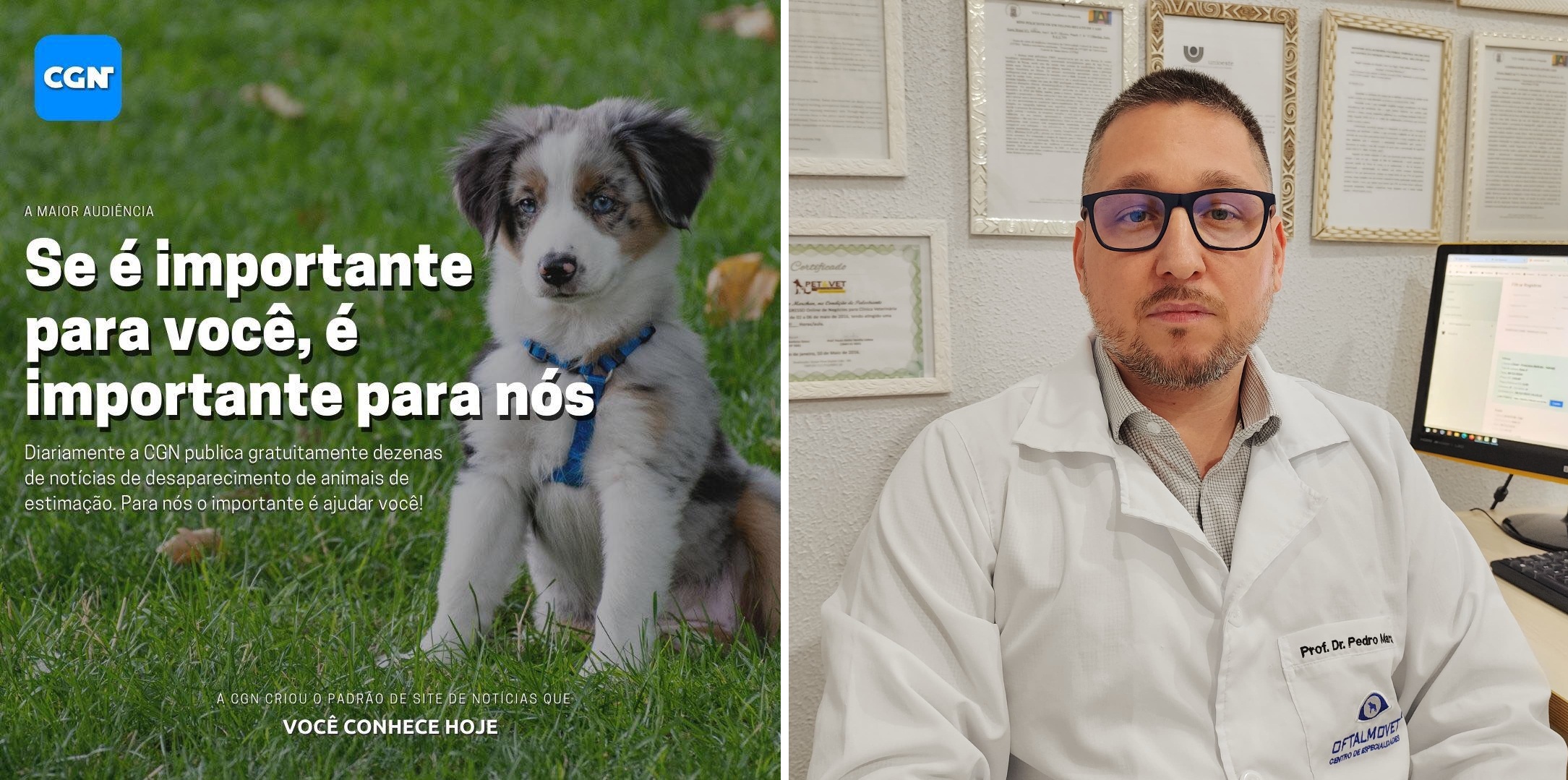 Fogos de artifício assustam Pets e aumentam casos de desaparecimentos; Se seu animal fugir, conte com a CGN!