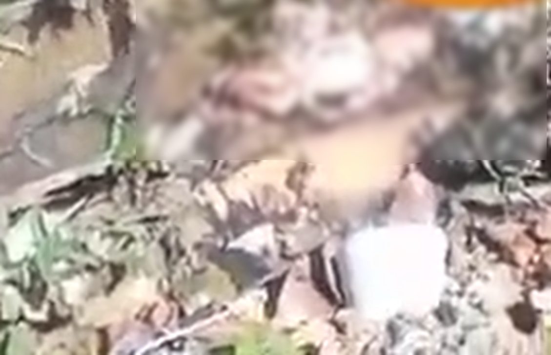 Cena de cortar o coração: feto é encontrado em igarapé no meio do lixo