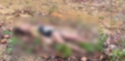 Imagem referente a Assassinato brutal: mulher trans é encontrada morta em área de mata