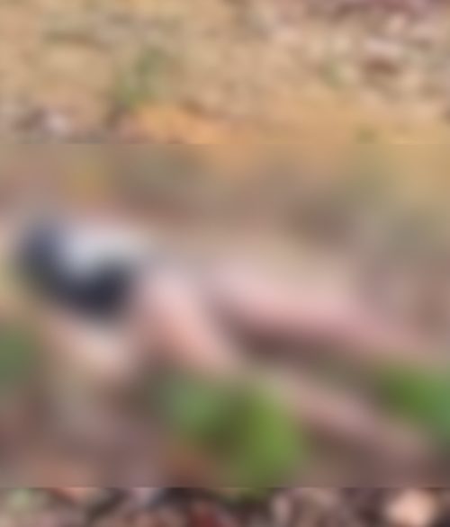 Imagem referente a Assassinato brutal: mulher trans é encontrada morta em área de mata