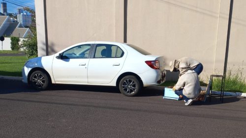 Imagem referente a Enxame de abelhas em para-choque de Renault Logan mobiliza Defesa Civil em Cascavel