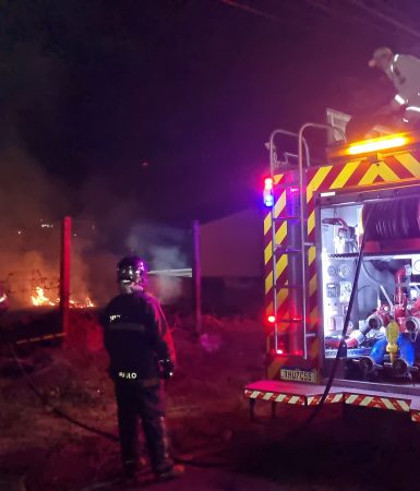 Imagem referente a Queima de fogos causa incêndio em vegetação no centro