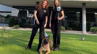 Com nome inspirado na técnica, Raman é o 1º integrante canino da Polícia Científica