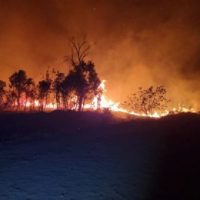 Imagem referente a Maioria dos incêndios ambientais são causados por fatores humanos, diz Tenente dos Bombeiros