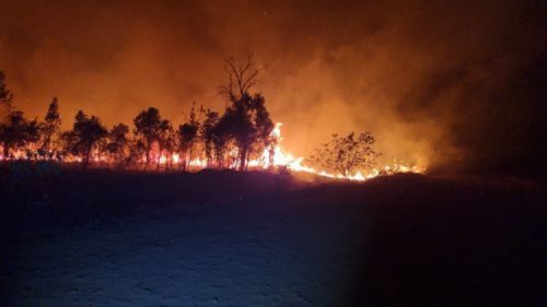 Imagem referente a Maioria dos incêndios ambientais são causados por fatores humanos, diz Tenente dos Bombeiros