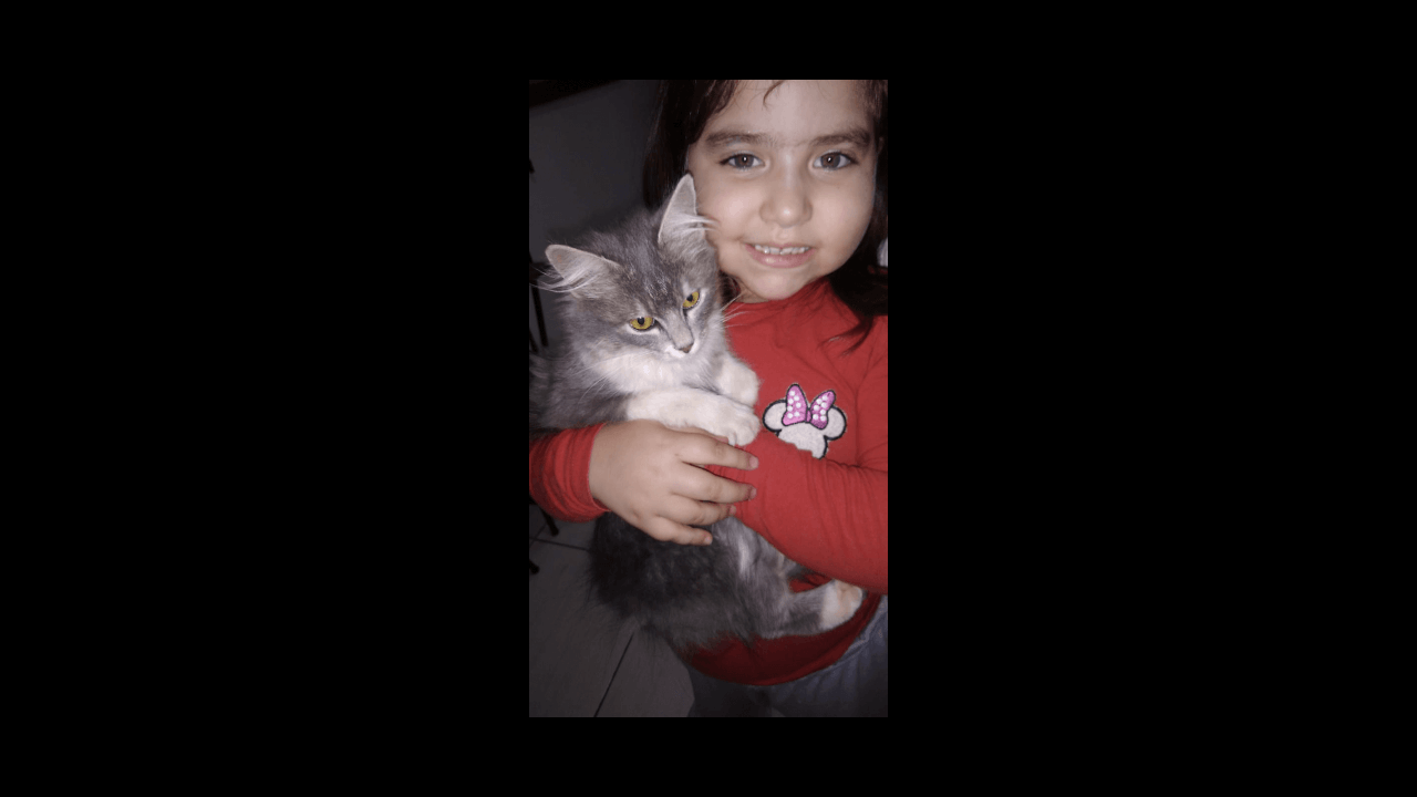 Gata Marrie desapareceu no bairro Claudete