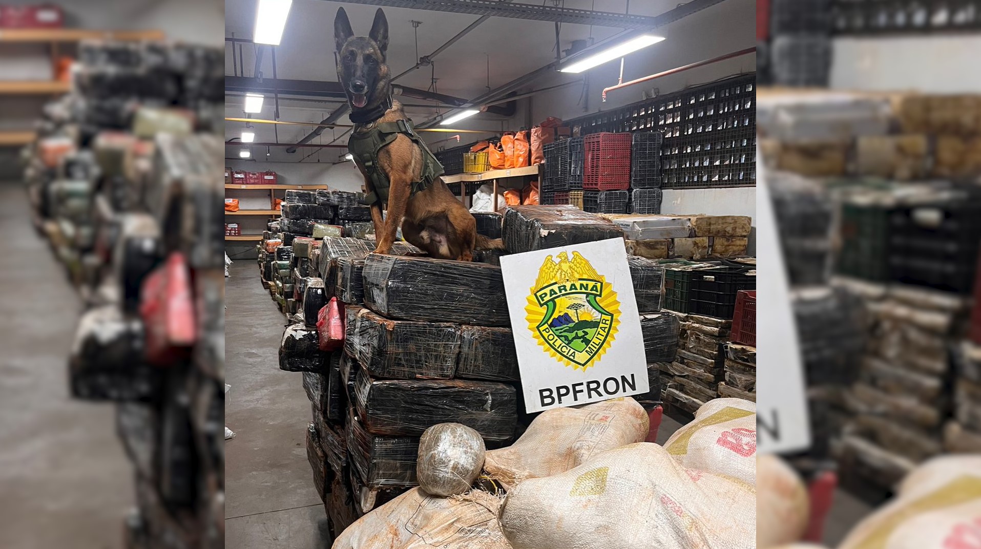 BPFron apreende 6 Toneladas de maconha em Santa Helena BPFron apreende 6 Toneladas de maconha em Santa Helena
