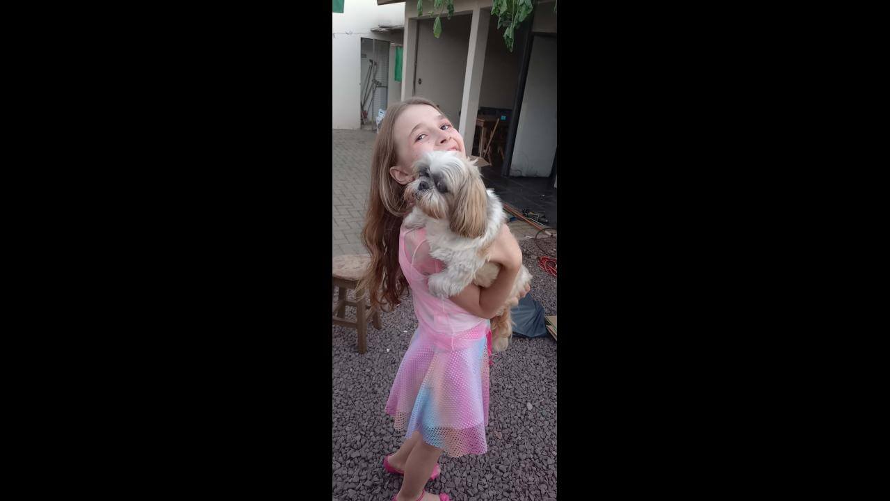 Cachorra Pipoca desapareceu no bairro Maria Luiza Cachorra Pipoca desapareceu no bairro Maria Luiza