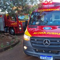 Imagem referente a Após desaparecimento de idoso, vizinhos acionam Corpo de Bombeiros para arrombar residência